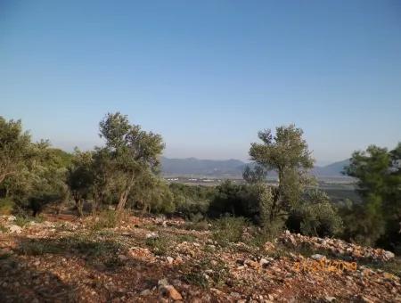 Fevziye Land For Sale With Sea View