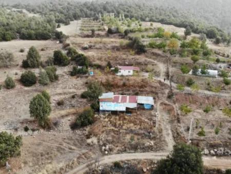 5 000 M2 Land In Çameli Kızılyaka 2 In 1 Detached House, And Barn For Rent