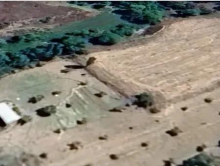 3500 M2 Zoned Walnut Orchard For Sale In Denizli Çameli Cevizli