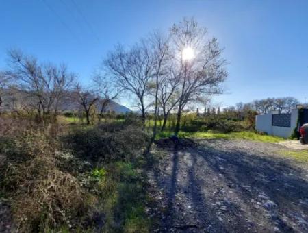 1500 M2 Zoned Land For Rent In Muğla Dalyan