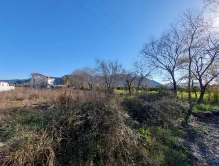 1500 M2 Zoned Land For Rent In Muğla Dalyan