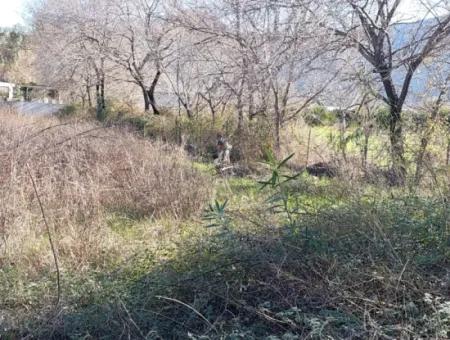 1500 M2 Zoned Land For Rent In Muğla Dalyan