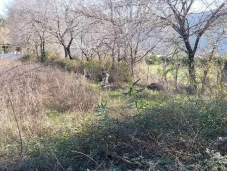 1500 M2 Zoned Land For Rent In Muğla Dalyan