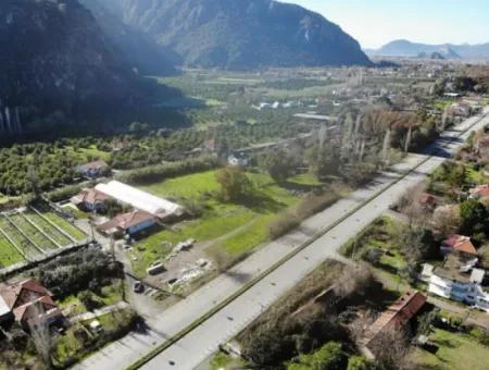 3.577M2 Field For Sale With 100M Frontage To The Main Road On Ortaca - Dalyan Road