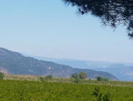 Garden Of Pomegranates For Sale In Dalyan