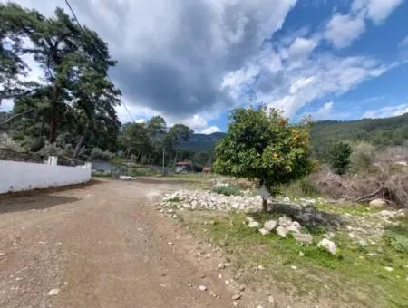 1000 M2 Land For Sale In Muğla Köyceğiz Çandır Center