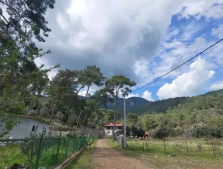 1000 M2 Land For Sale In Muğla Köyceğiz Çandır Center