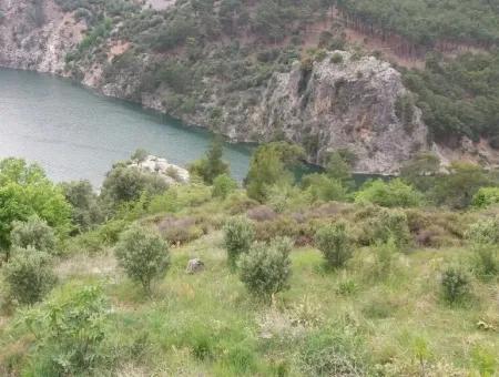 Farmland For Sale In Dalaman Bozbel Also With Views Of The Lake Dam