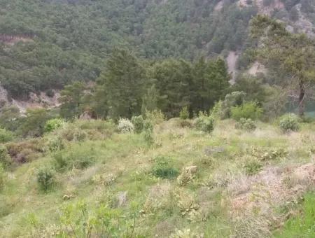 Farmland For Sale In Dalaman Bozbel Also With Views Of The Lake Dam