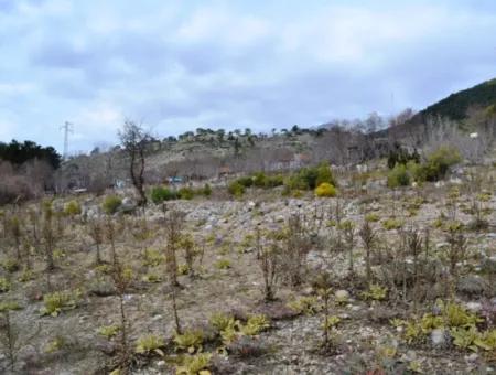 Fethiye, Nifte, 2 000 M2, Detached For Sale, Bargain Land