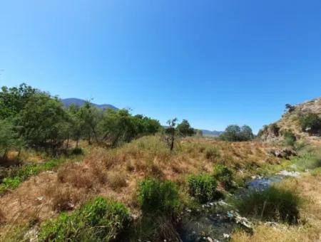 Muğla Ortaca Dalyanda Canal Front 6 500 M2 Land With Title Deed For Sale