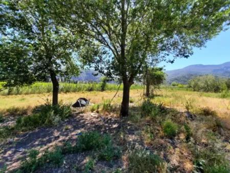 Muğla Ortaca Dalyanda Canal Front 6 500 M2 Land With Title Deed For Sale