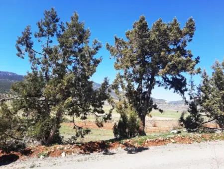 912 M2 Detached Land Suitable For Deposit In Denizli Çameli Belevi For Sale