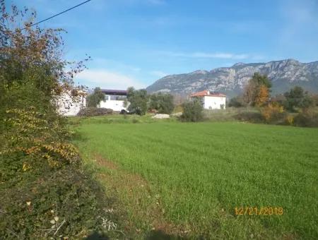 Land For Sale In Bargain Detached Zeytinalani