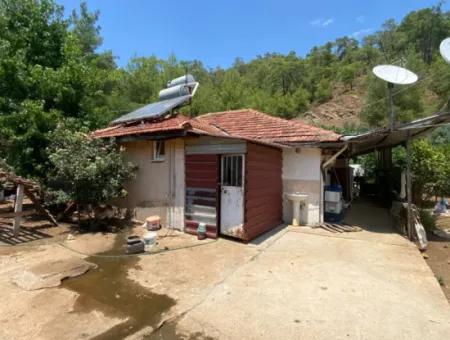 Ortaca Gölbaşı Farm And Detached House For Rent.