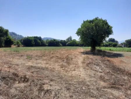 Detached 1876 M2 Bargain Land For Sale In Çameli Cumalanda