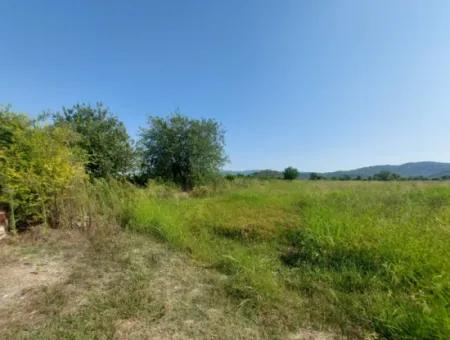 Ortaca Mergenlide Detached Title Deed 11.000 M2 Bargain Land For Emergency Sale