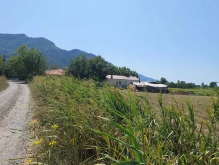 20.600 M2 Of Land In Ortaca Dalyan, 250 M2 Of Detached Land With The Right To Build A House Is For Sale