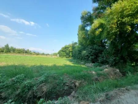 Detached 1 000 M2, 250M2 Bargain Land With Construction Rights For Sale In Köyceğiz Beyobasi