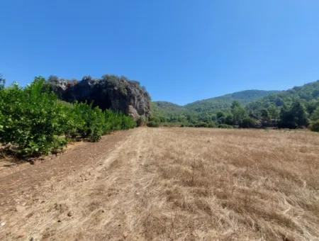 4.427 M2 Fertile Land With Mountain And Nature View In Ortaca Okçular For Sale