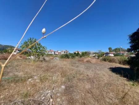 Muğla Dalyan 970 M2 Commercial Zoned Bargain Land For Sale