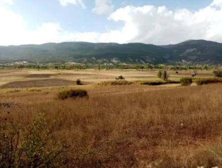 2603 M2 Field For Sale In Denizli Çameli Belevi Neighborhood