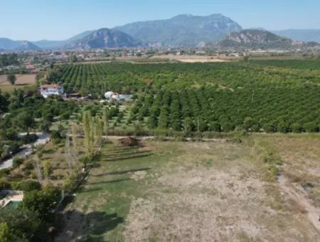 Ortaca Okçular 1577 M2 Land For Sale Suitable For Investment