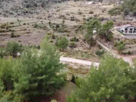 Fethiye Üzümlü Kızılbelde 7.000M2, 250M2 Land For Sale With Construction Rights Suitable For Investment