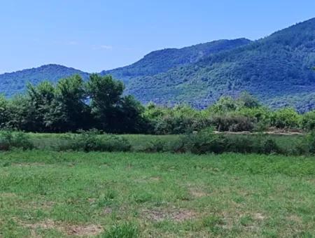 Muğla Ortaca Fevziye 8.440 M2 Land, 703 M2 Shared Field For Sale