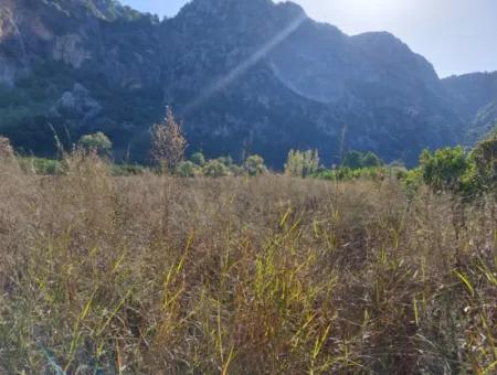 6 500 M2 In Muğla Ortaca Marmarlı, Land New To The Zoning Plan For Sale