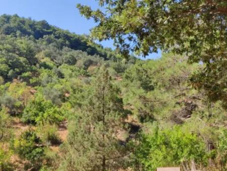 Çanakkale Ayvacık Adatepe 325 M2 Land 1 1 Tiny Detached Land For Sale