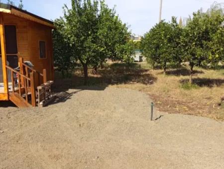 Muğla Ortaca Okçular 1 1 Bungalow For Rent