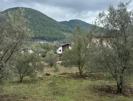 For Sale In Fethiye Gökçeovacıkta 1709 M2