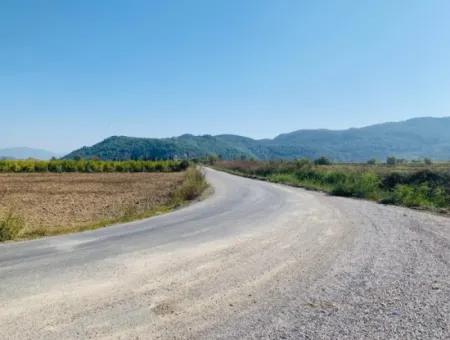 Fields Suitable For Cooperative In Ortaca Güzelyurt Are For Sale