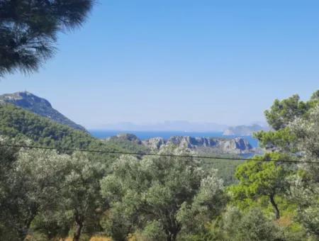 Mugla Gökbelde Lake And Sea View 1000M2 Land For Sale