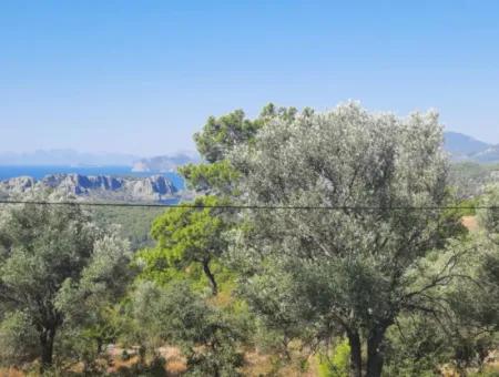 Mugla Gökbelde Lake And Sea View 1000M2 Land For Sale