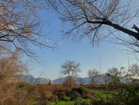 2585 M2 Detached Land Close To The Lake In Köyceğiz Çandırda For Sale