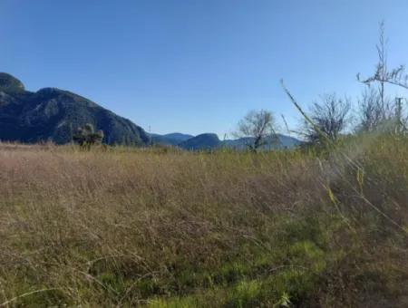 4.800 M2 Land For Sale In Muğla Ortaca Dalyan