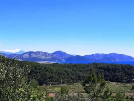 5.000 M2 Residential Zoned Land With Full Sea View In Ortaca Sarigerme For Sale