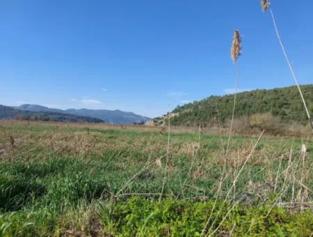 Fertile 6.350 M2 Land For Sale In Muğla Ortaca Güzelyurt