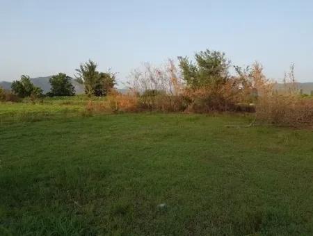 Bargain Plot For Sale In Archer