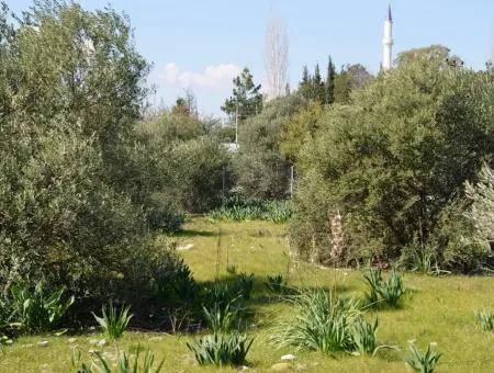 Villa For Sale Bargain Ortaca In The Plot