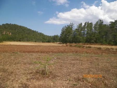 In Beyoba Of Fertile Land For Sale Bargain