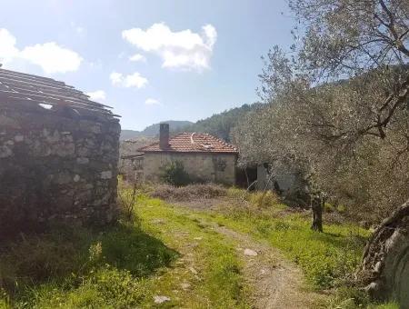 Land For Sale In Dalaman Honor Kircagedire