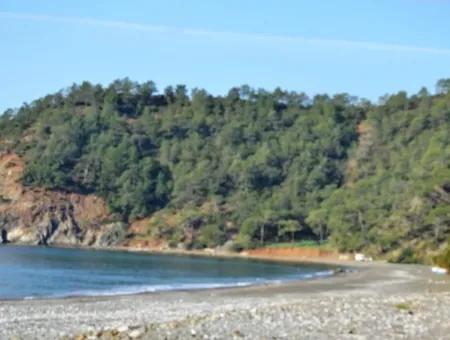 Plot For Sale In Gocek Near The Beach, With A Project Inlice