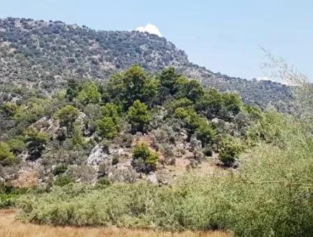 Sea View Land For Sale In Mugla Dalaman Kapıkargın