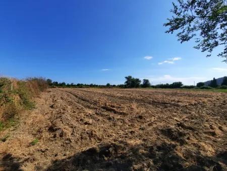 Oriya Fevziye Land For Sale In Zero Road