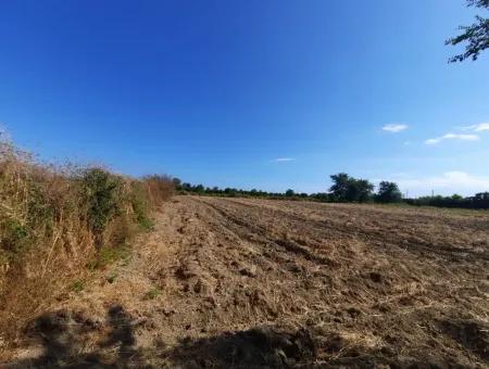 Oriya Fevziye Land For Sale In Zero Road