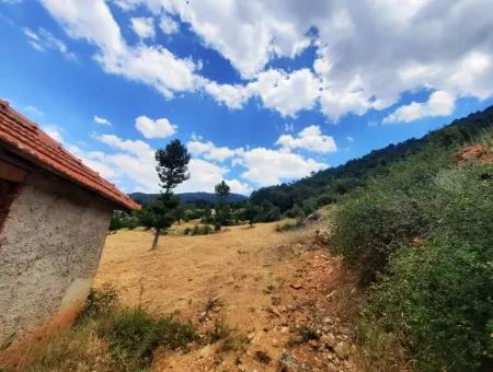 7 350 M2 Detached Land And House For Sale Or In Exchange With Apartment In Çameli Cevizli