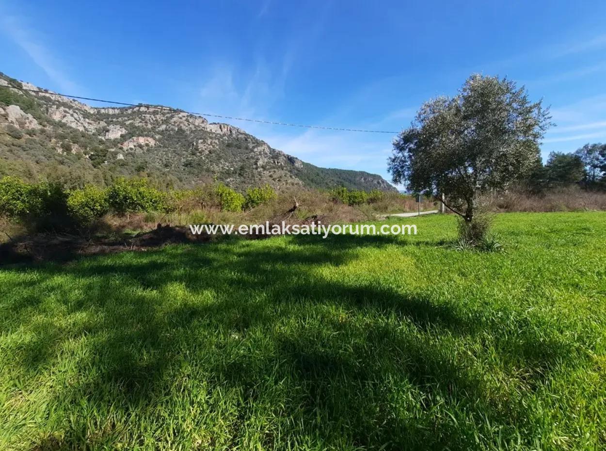 Ortaca Mergenlide Satılık Dağa Sıfır Yatırıma Kelepir Uygun Arazi